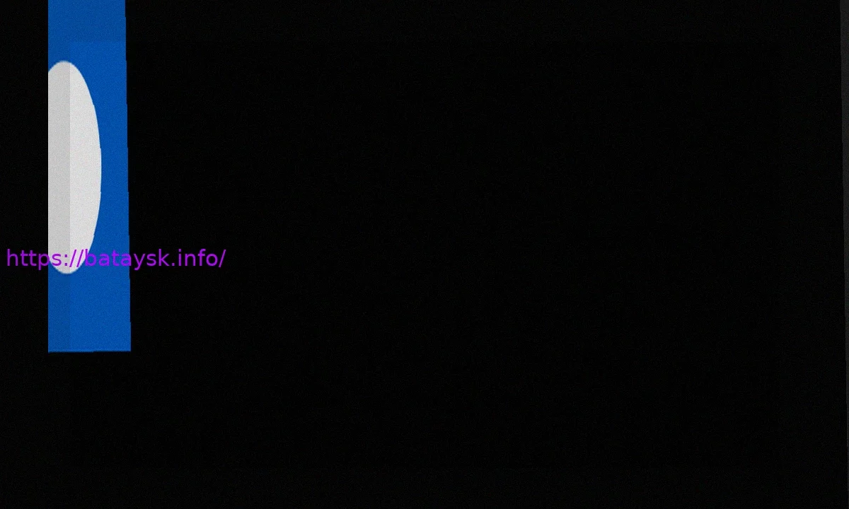 Оле Бук, «Ныряльщик за жемчугом», призван привнести «мужество и последовательность» в дортмундскую «Боруссию»