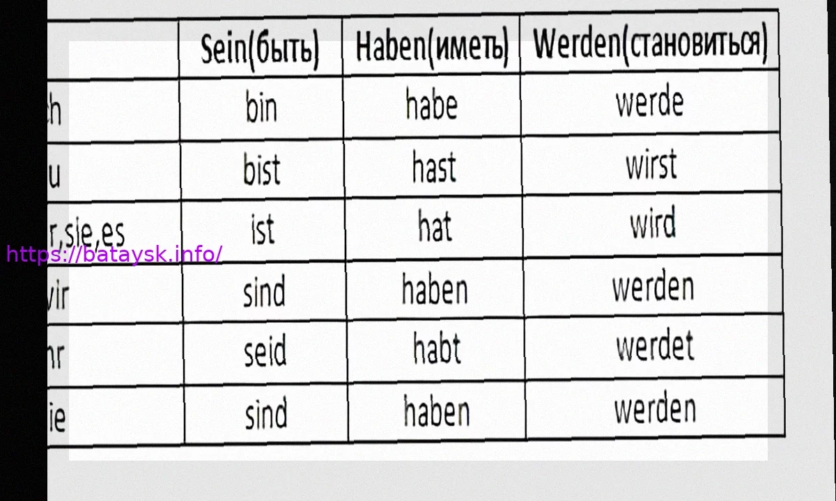Рене Вагнер в 1. FC Köln: В чем его уникальность?